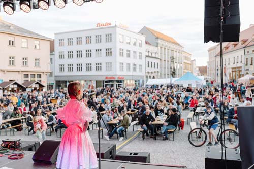 Festival vína VOC Znojmo